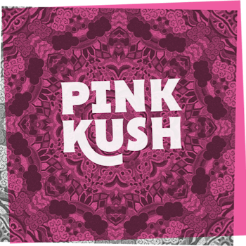 Pink kush softgel - PINK KUSH SOFTGEL - 30